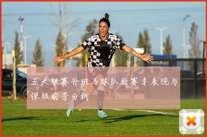 五大联赛升班马球队新赛季表现与保级前景分析