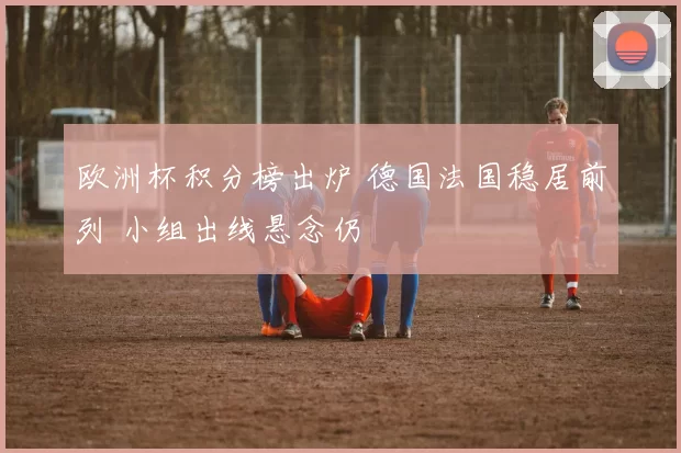 欧洲杯积分榜出炉 德国法国稳居前列 小组出线悬念仍